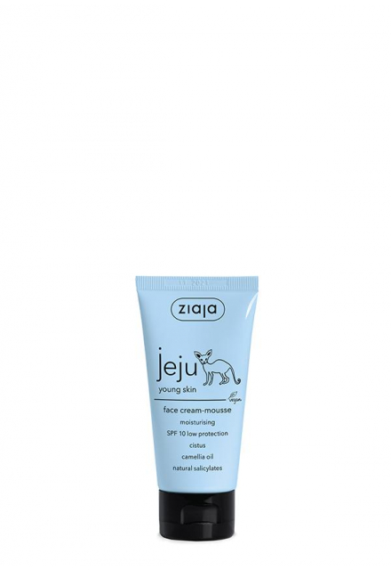 moisturising face cream-mousse