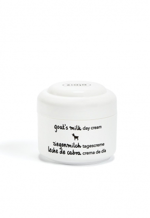 moisturising day cream