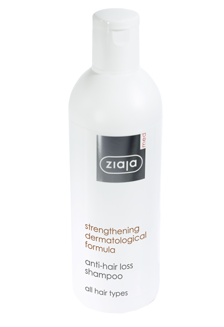 ZIAJA Olivenöl Shampoo Regenerierend – Pflegendes Shampoo Für Trockenes & Strapaziertes Haar